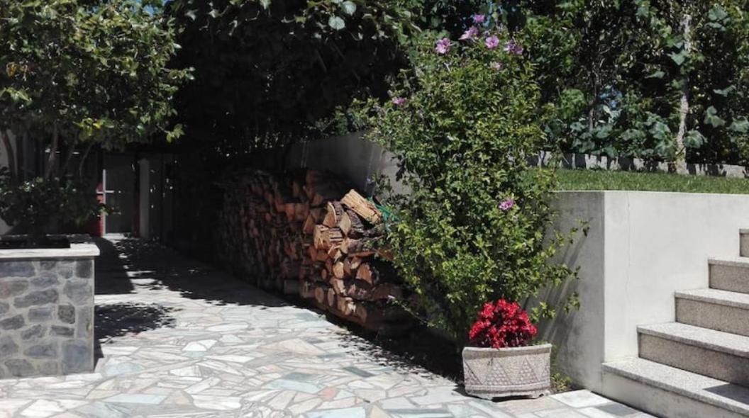 カミーニャ Casa Da Cavadaヴィラ エクステリア 写真